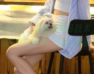 UGirls尤果网 - 无圣光摄影技术，带你走进陈雅漫的短裙世界，套图值得一看.txt