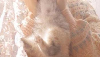Xiuren秀人网 - 周周不吃香菜黑丝作品首发，免费下载她的绝美写真照片.txt