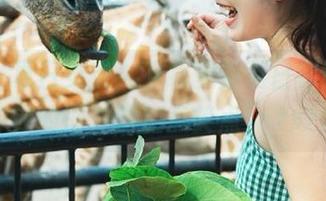 丽柜 - 夏日炎炎，下载黄芬夏日套图，给你的朋友圈加点笑点！.txt