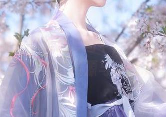 在沧霁桔梗的狐狸套图中，探索那些我自认为完美的资源与妄想.txt