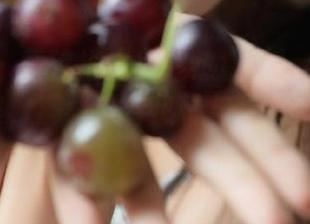秀人网 - 重磅推出！趁热拿铁latte学妹写真合集，满载青春热情与无尽魅力！.txt